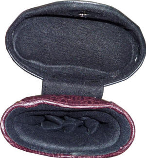 JB Cue Case