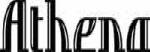 Athena Pool Cue