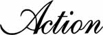 Action Krome Cues Pool Cues